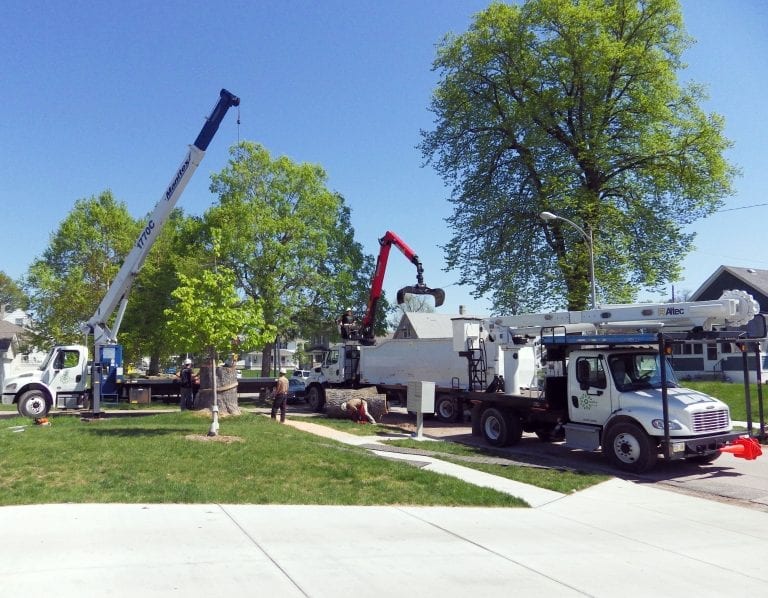 About Us Omaha Tree Services Tree Trimming &amp; Removal