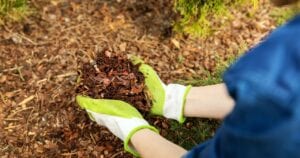 Best time to buy mulch