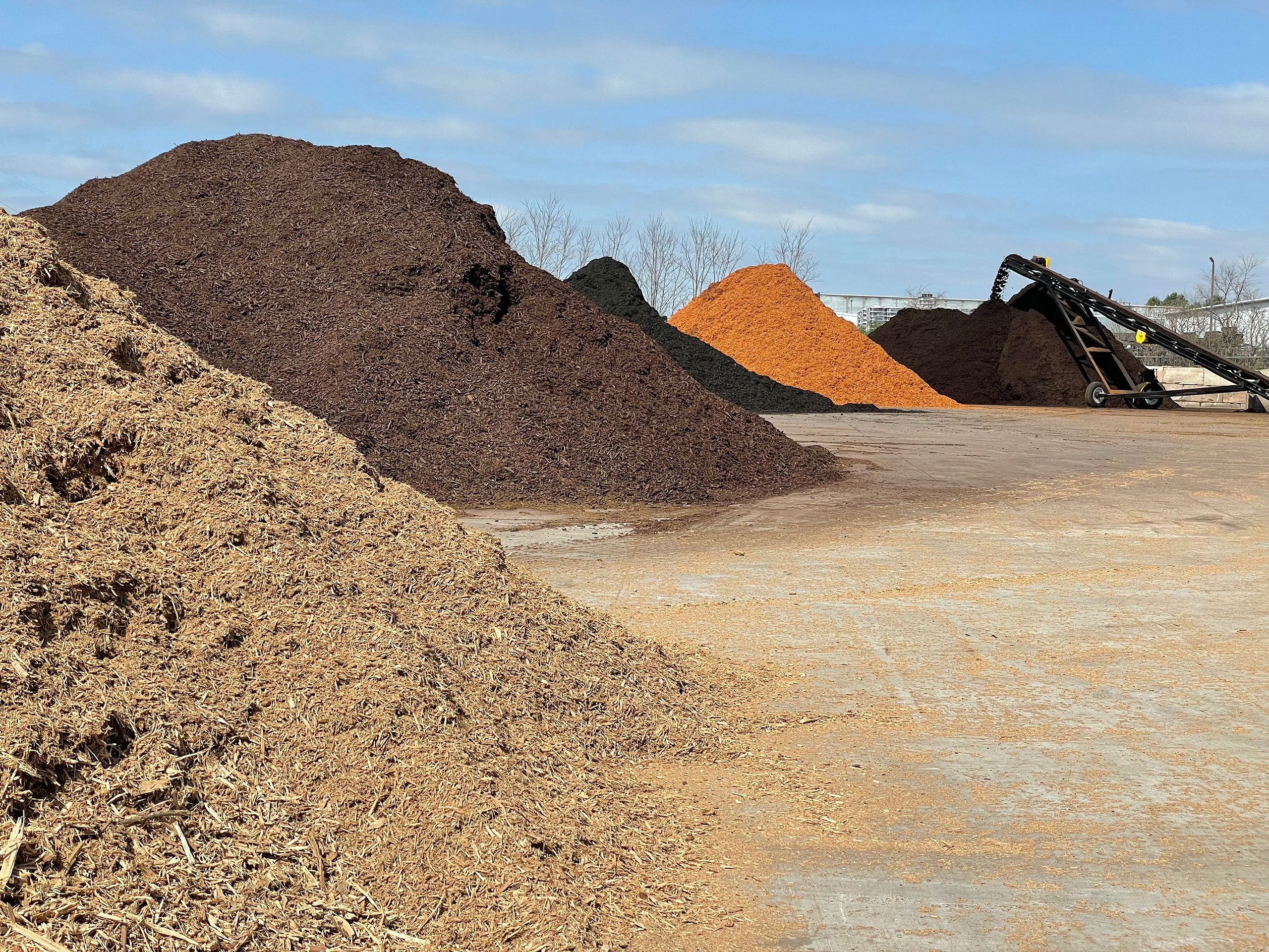 Tree Service Omaha Tree Removal & Stump Removal Best Price