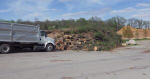 Where is the Best Place for Tree Disposal in Omaha?