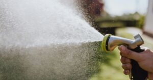 Spring Watering Tips for Thriving Trees
