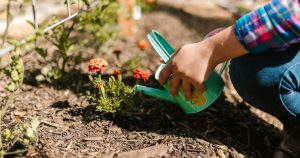 What Not to Do When Mulching?